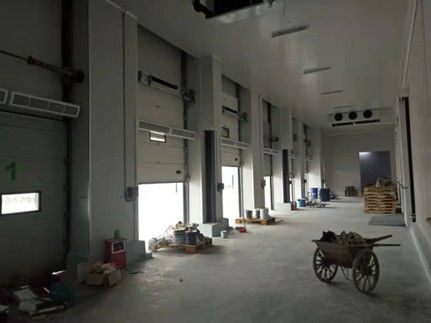 Polyurethane Isolamento térmico Comercial Portas seccionais de aço Industriais Personalizadas